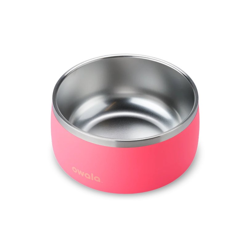 Pet Bowl Owala 6 Cups Stainless Steel Hyper Flamingo | COLOMBIA 3816ZA